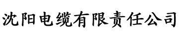 香蕉视频91av电缆厂logo